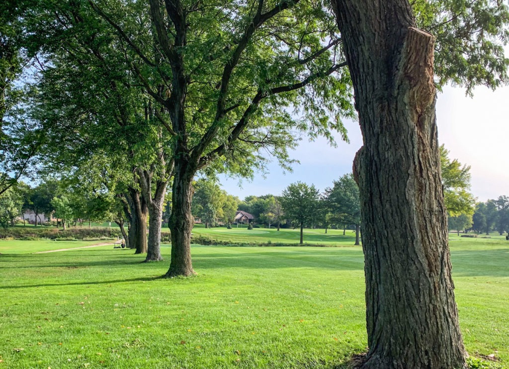 Nebraska Senior Match Play Championship Nebraska Golf Association