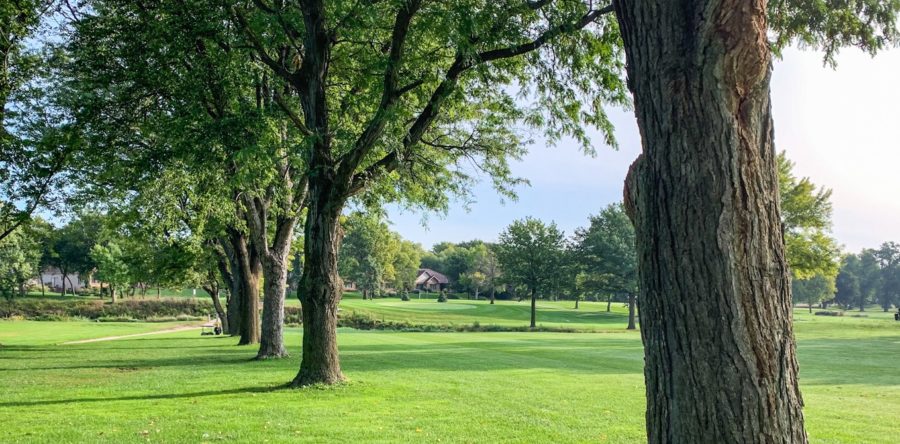 Four Remain at Nebraska Senior Match Play