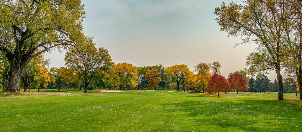 Bellevue University Takes Lead at Nebraska Intercollegiate