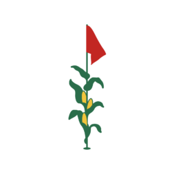 Neb Golf - Lone Cornstalk