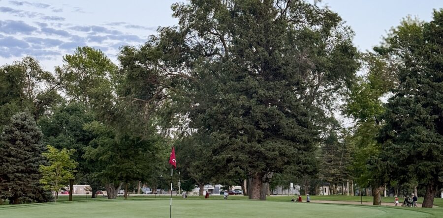 Larson, Kelley Earn Medalist Honors at Nebraska Junior Match Play