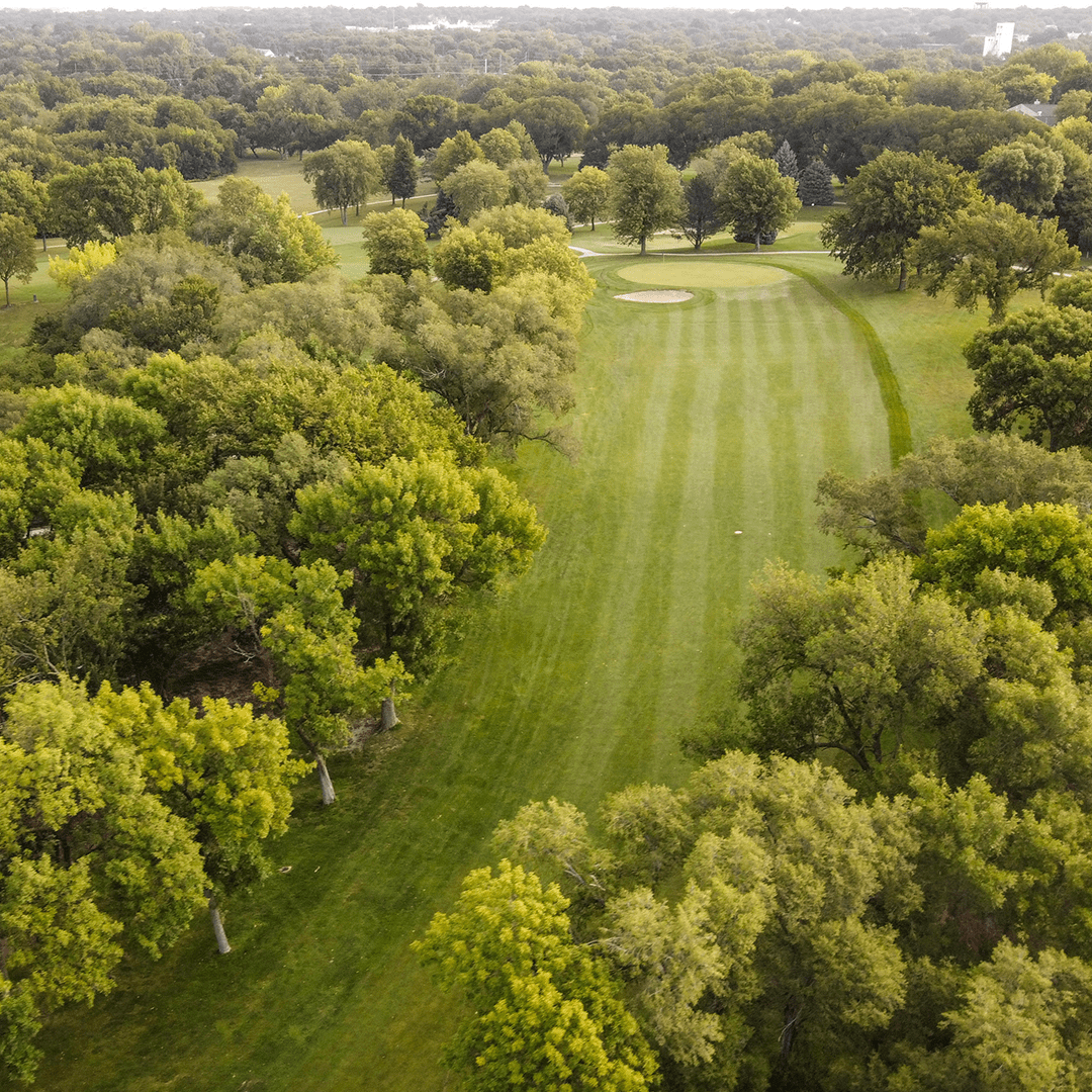 YorkCC18_square